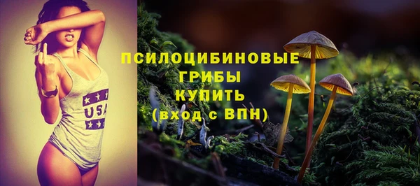 spice Алексин